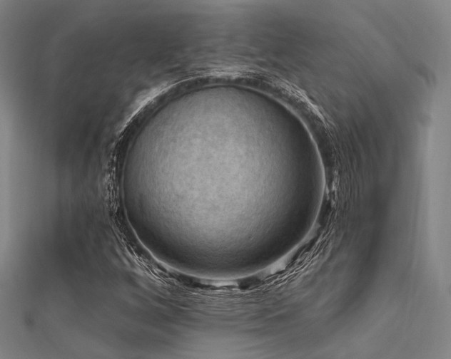 X0000112351256200908131421