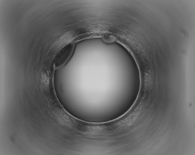 X0000112351257200908131421