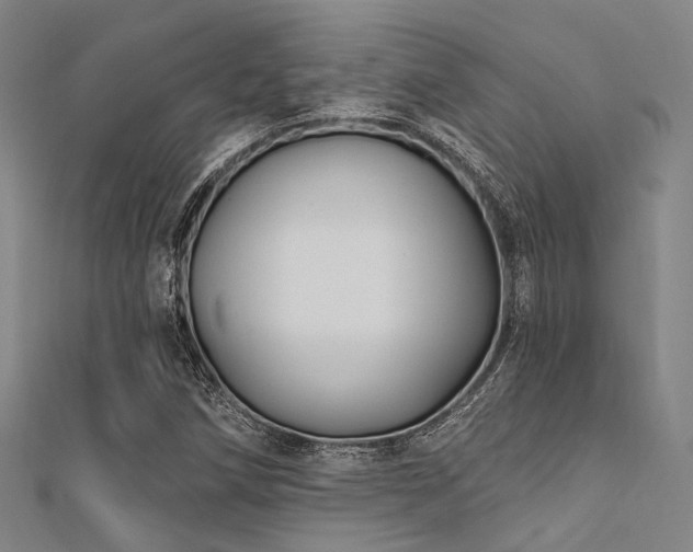 X0000112351258200908131421