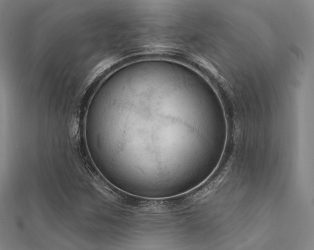 X0000112351259200908131421