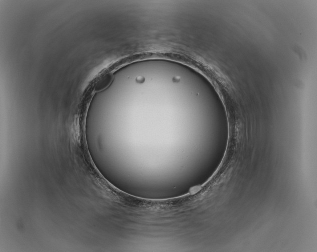 X0000112351262200908131421