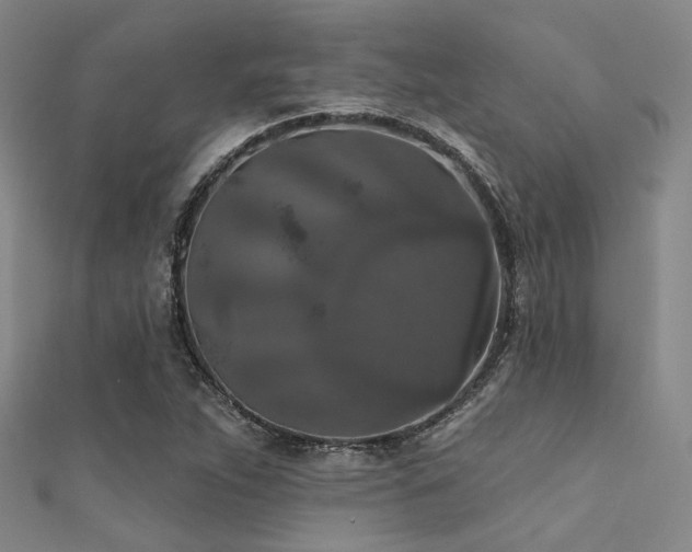 X0000112351263200908131421