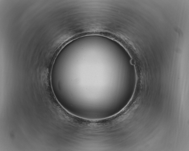 X0000112351265200908131421