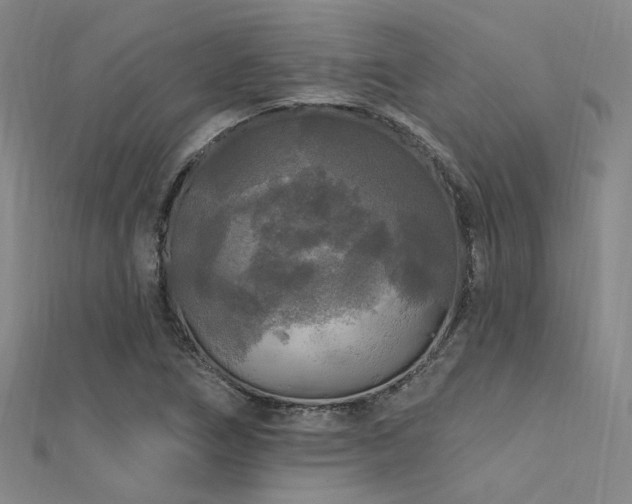 X0000112351266200908131420
