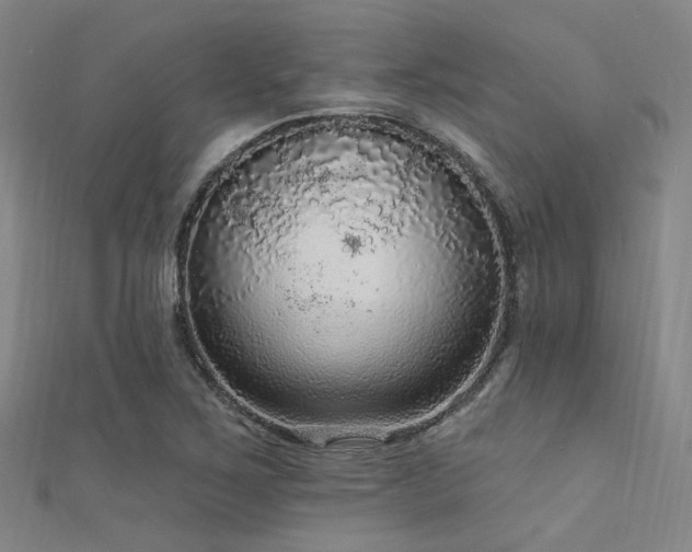 X0000112351267200908131420