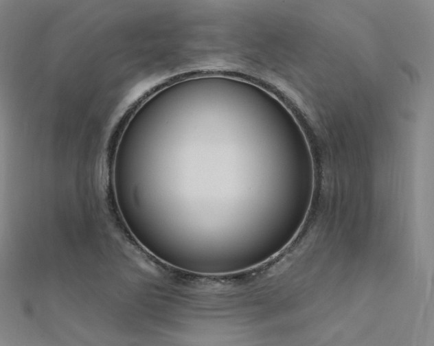 X0000112351270200908131420