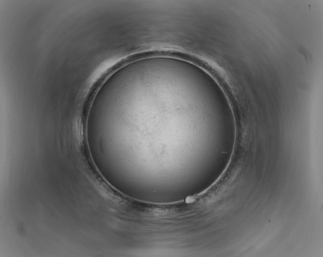 X0000112351271200908131420