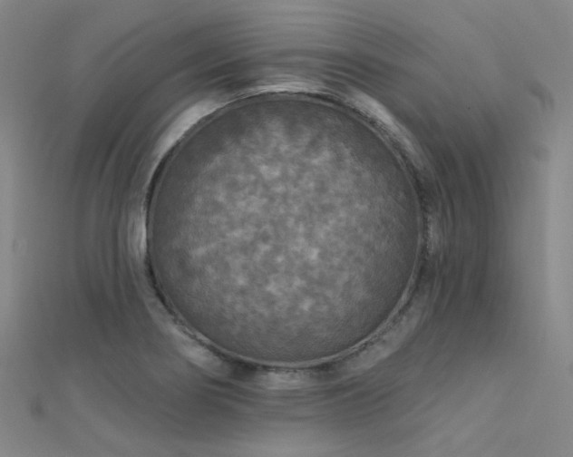 X0000112351274200908131420