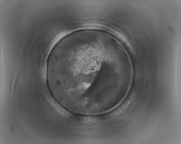 X0000112351275200908131420