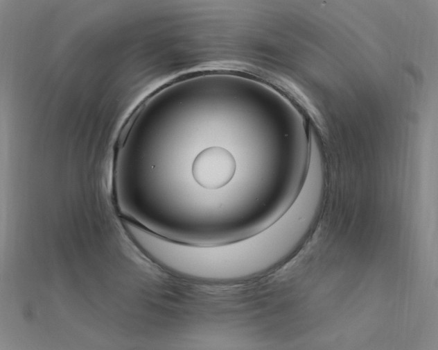 X0000112351276200908131420