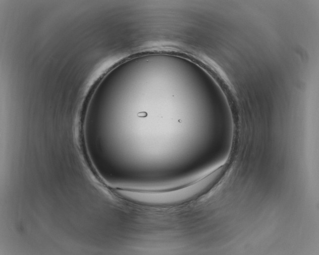X0000112351277200908131420