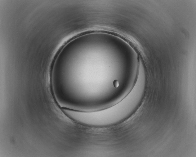 X0000112351280200908131420