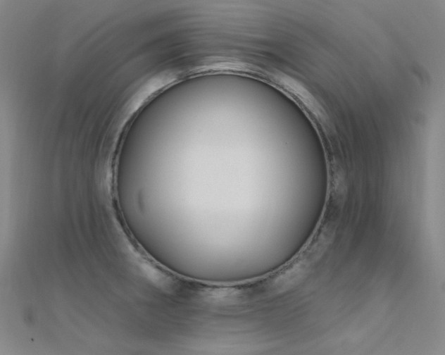 X0000112351282200908131420