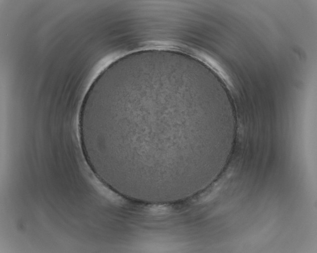 X0000112351283200908131420