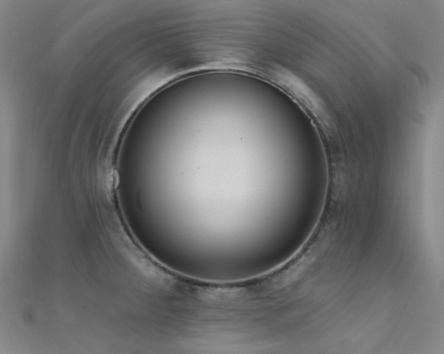 X0000112351284200908131420