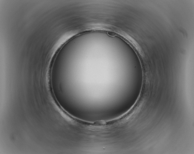 X0000112351285200908131420