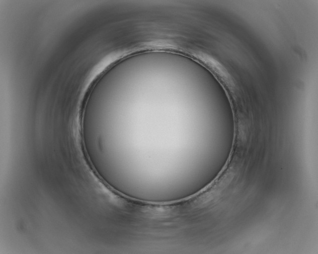 X0000112351286200908131420