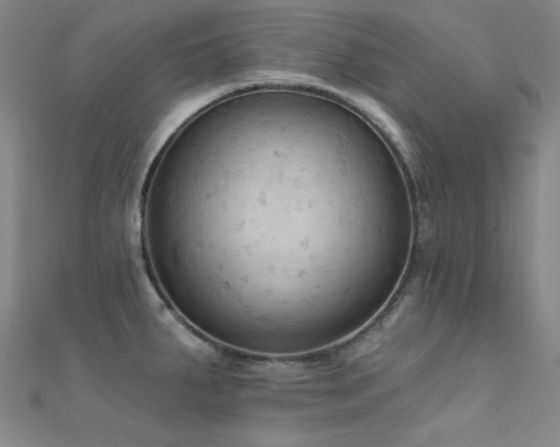 X0000112351287200908131420