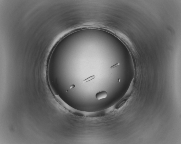 X0000112351288200908131420