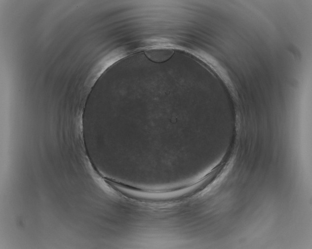 X0000112351289200908131420