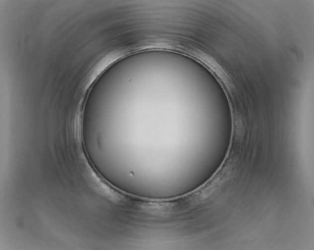 X0000112351290200908131420