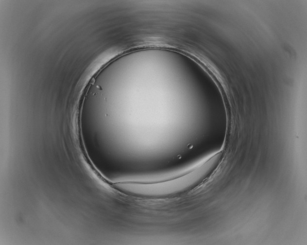 X0000112351293200908131420