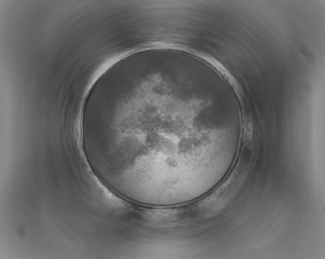 X0000112351294200908131420