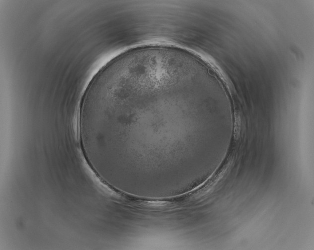 X0000112351295200908131420