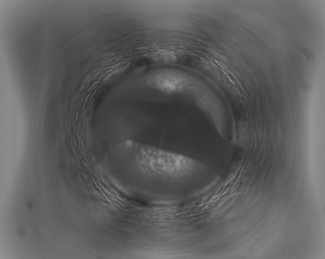 X0000112351297200908131419