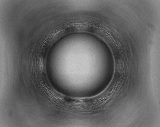 X0000112351298200908131419