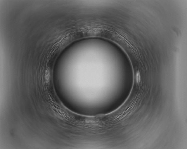 X0000112351299200908131419