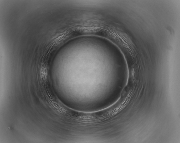 X0000112351300200908131419