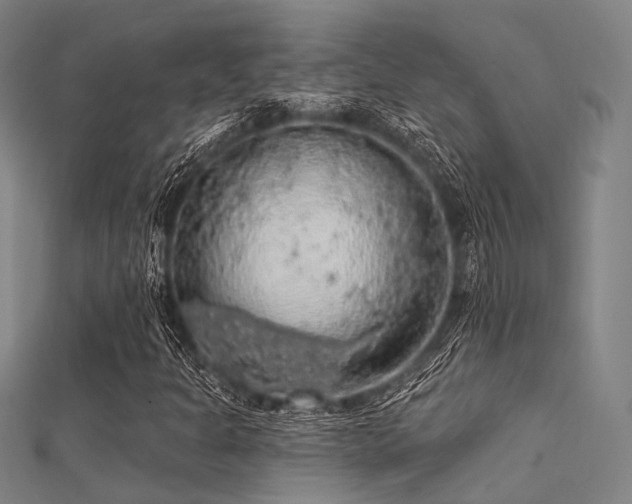X0000112351301200908131419