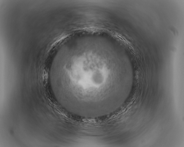 X0000112351302200908131419