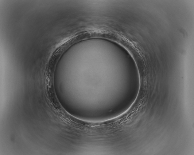 X0000112351303200908131419
