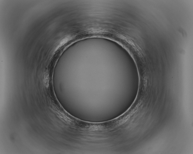 X0000112351306200908131419