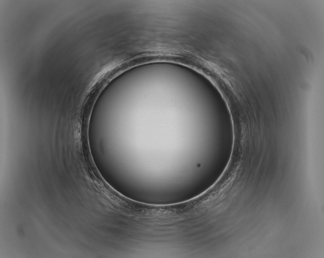 X0000112351307200908131419