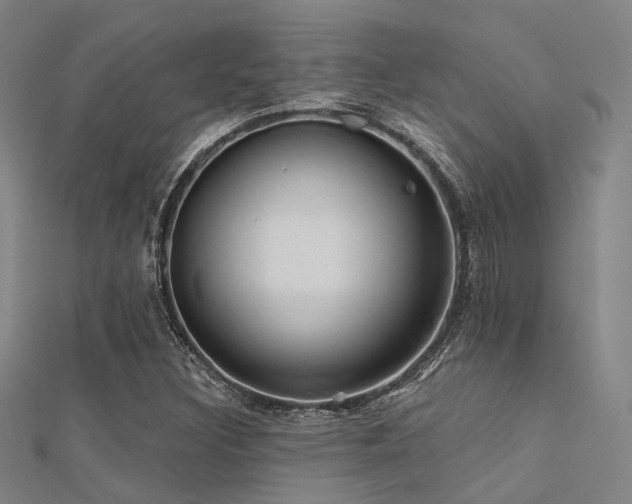 X0000112351308200908131419