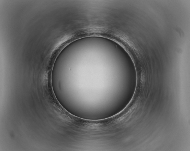 X0000112351309200908131419