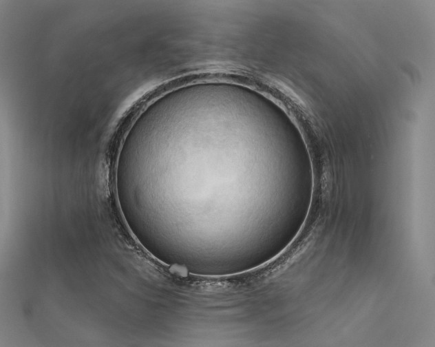 X0000112351310200908131419