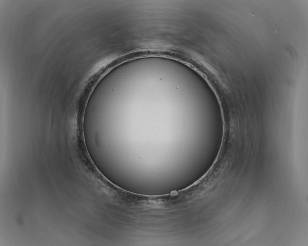 X0000112351315200908131420