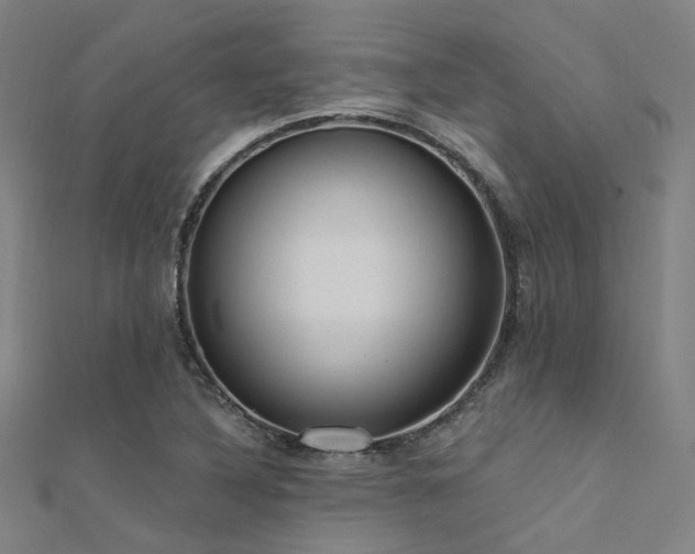 X0000112351316200908131420