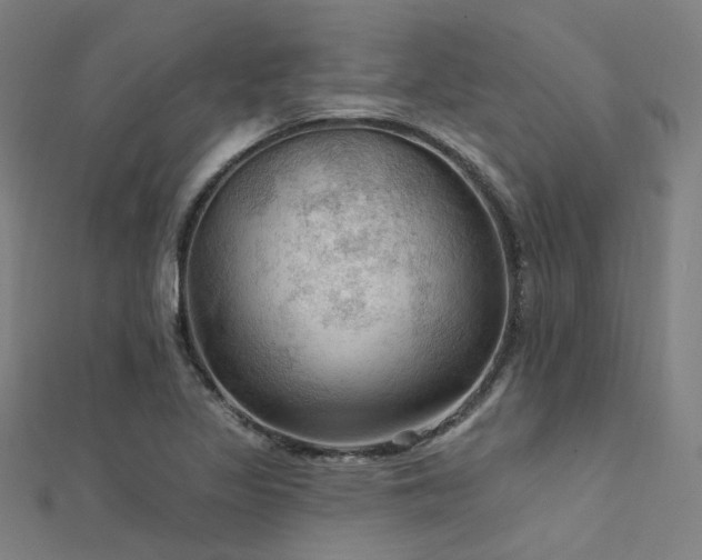 X0000112351317200908131420