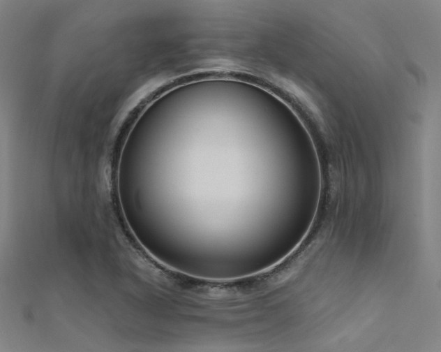 X0000112351318200908131420