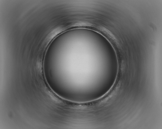 X0000112351321200908131420