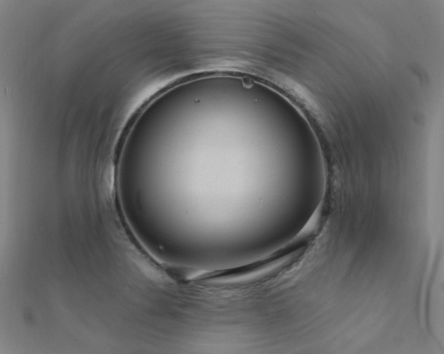 X0000112351324200908131420
