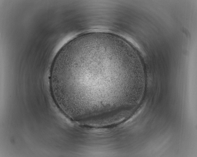 X0000112351325200908131420