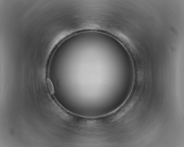 X0000112351326200908131420