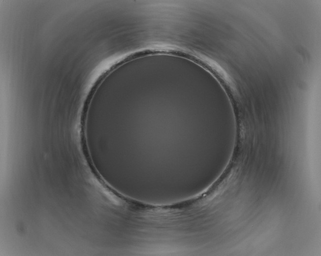 X0000112351327200908131420