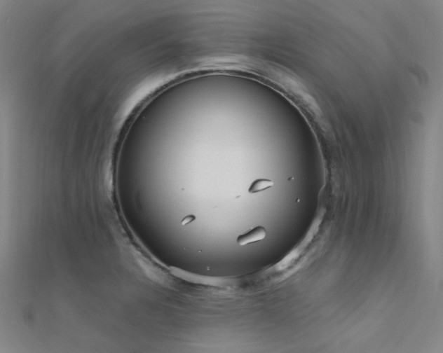 X0000112351328200908131420